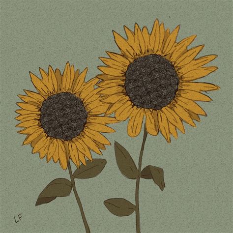 Libby Frame Illustration Sunflower Illustration Sunflower Art