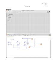Lab Section Docx Manuel Diaz Me L Lab Section Procedure I