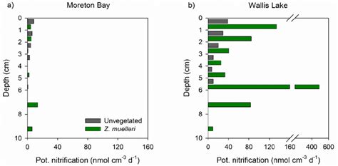 S3 Examples Of Potential Nitrification Activity Distribution In