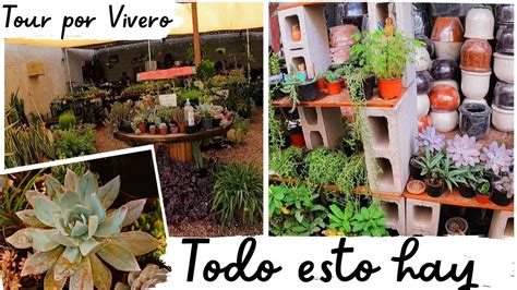 Vivero Casero Emprendimiento Facil Y Bonito Youtube