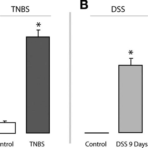 Severity Of The Colitis In The Different Models A TNBS Induced