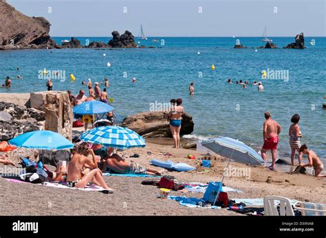 Brie kapitány cél fák cap d agde in france struktúra felépülés Sárgás