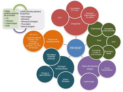 Parcours De Soins Coordonn Association Neuro Bretagne Rennes