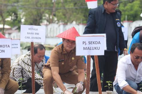 Kendalikan Inflasi Pemprov Maluku Canangkan Gerakan Tanam Cabai Dan