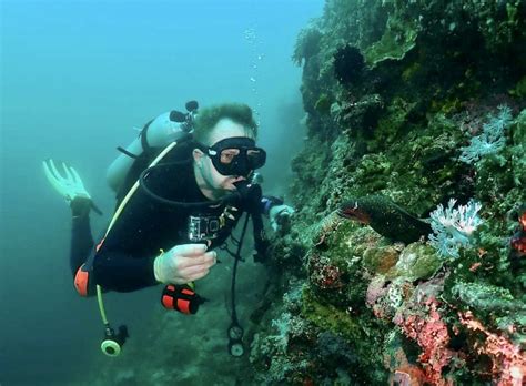 Climate change threatens endangered coral reefs – Philippine Morning Post