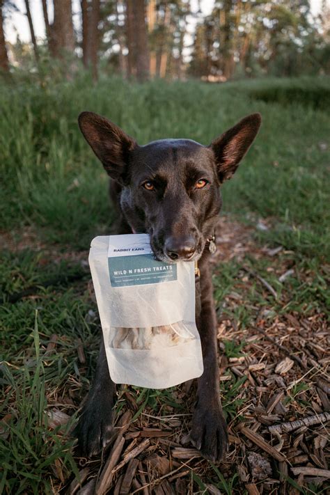 Dehydrated Rabbit Ears Wild N Fresh Treats