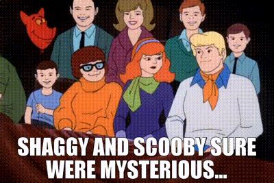 YARN Shaggy And Scooby Sure Were Mysterious Scooby Doo Where