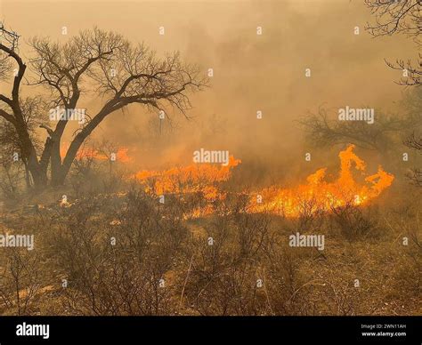 Texas Panhandle Texas Usa 28th Feb 2024 Fire Burns Out Of Control