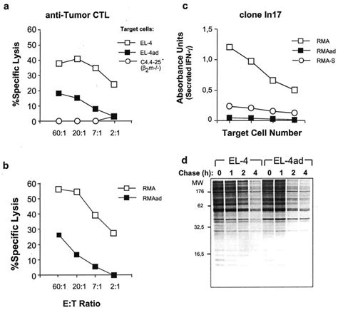 Decreased Tumor Antigen Presentation Due To Reduced Reliance On Download Scientific Diagram