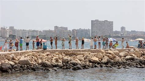 CADENA HUMANA ALBUFERETA ALICANTE Más de cien personas forman una