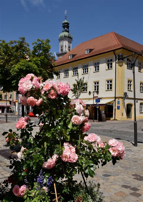 Rosenstadt Freising | Freisinger Fotos