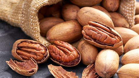 Everything You Need To Know About Pecans