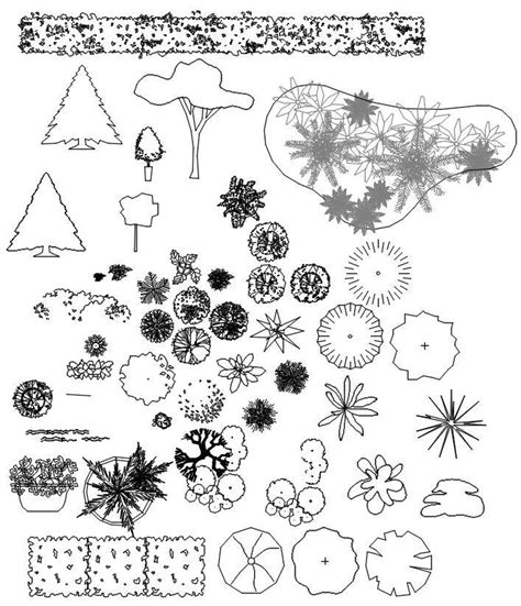 Trees blocks in 2D AutoCAD drawing, CAD file, dwg file - Cadbull