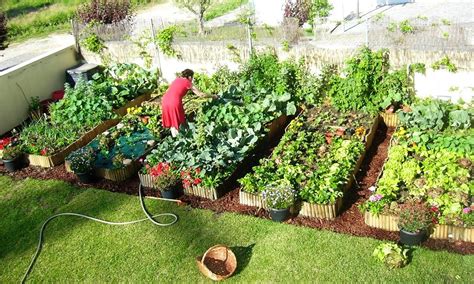 Como Ganhar Dinheiro Plantando Org Nicos Em Casa