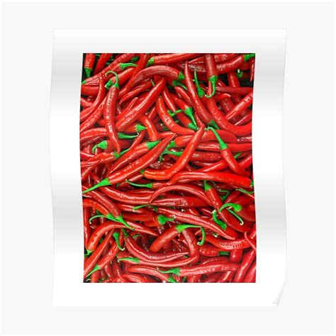 Hot Pepper Poster For Sale By Shatha Rose Redbubble