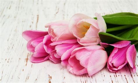 Premium Photo | Bouquet of pink tulips