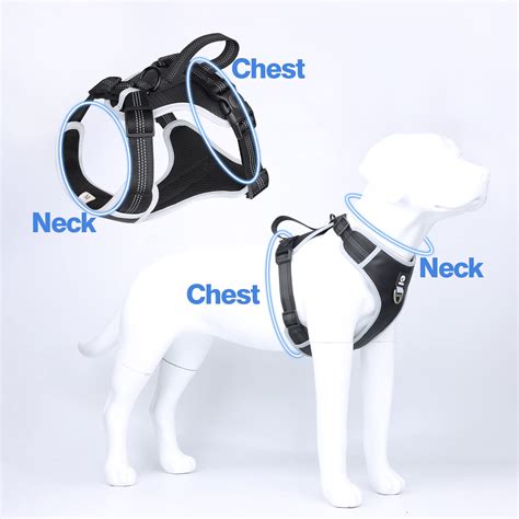 Explosion-Proof Dog Harness - Crawlpaw