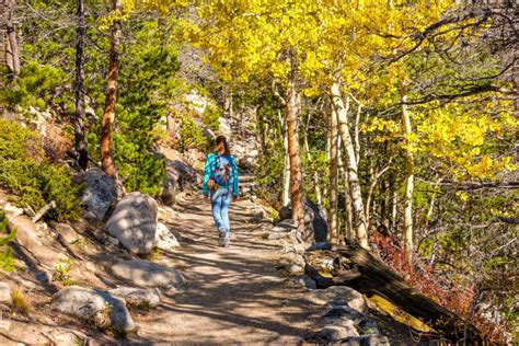 Tourist Hiking In Aspen Grove At Autumn Stock Image - Image of ...