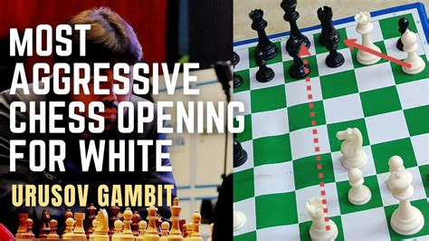 Best Chess Opening For White Urusov Gambit Most Aggressive Chess