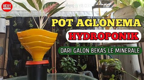 Pot Hydroponik Dari Galon Bekas Le Minerale