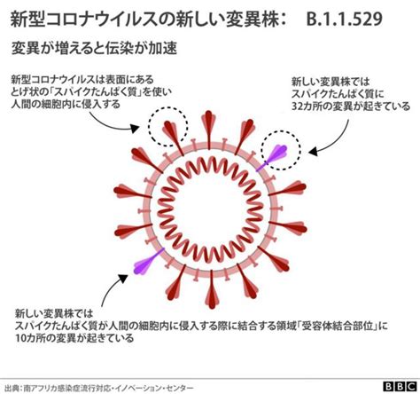 オミクロン変異株、どうやって検知するのか 新型コロナウイルス Bbcニュース