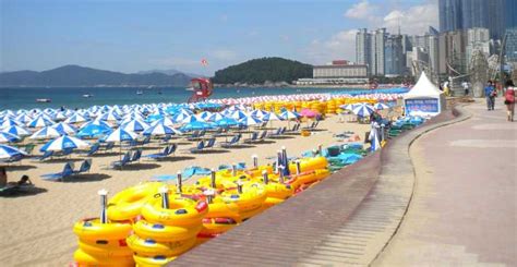 Busan Private Tour with a Local | GetYourGuide