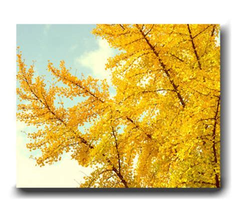 Ginkgo Tree Wall Art Set of 2 Canvas Wraps or Photo Prints - Etsy