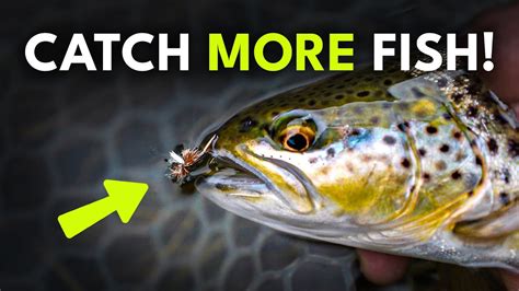 The Ultimate Dry Fly Fishing Playbook — 5 Tips To Catch More Trout Ep