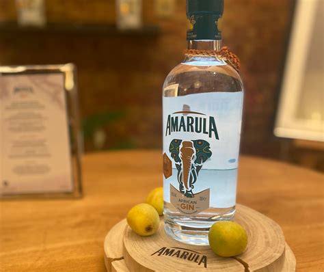 Review Amarula African Gin