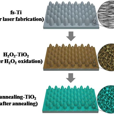 Schematic Of The Fabrication Of Anatase Tio Micro Nanostructures On