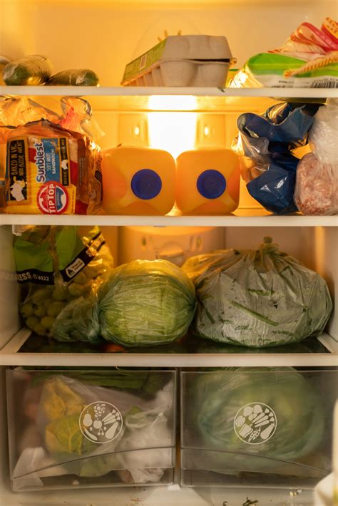 Simple Solutions for a Refrigerator Not Cooling After Moving - Duncan