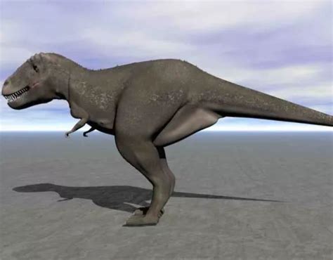 Realista Tyrannosaurus Rex Dinosaur Free Modelo 3d Obj Open3dmodel