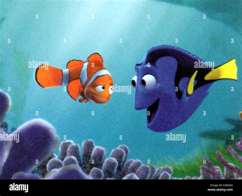 FINDING NEMO COPYRIGHT: BUENA VISTA MARLIN AND DORY PICTURE FROM THE RONALD GRANT ARCHIVE ...