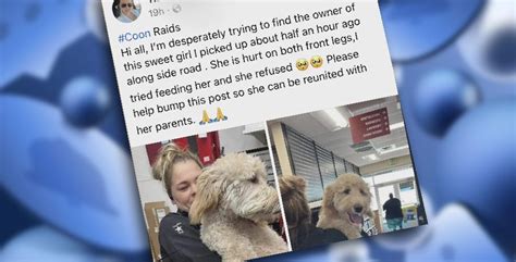 Crooks Posting Scam Injured Pet Posts In Facebook Groups