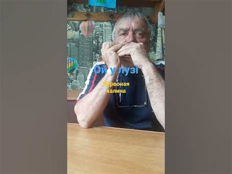 Табы губная гармошка ,,ой у лузі червона калина,, - YouTube