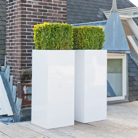 Poly Plantenbak Cm Hoog Grote Bloempot Hoge Vaas Of Xl Plantenbak