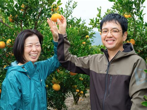 御浜町のみかん 青を編む｜三重県御浜町