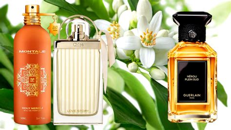 6 Tropical Frangipani Perfumes My Top Picks Viora London