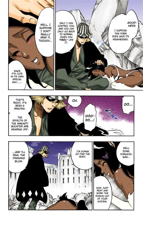 Bleach Anime and Manga Fanart