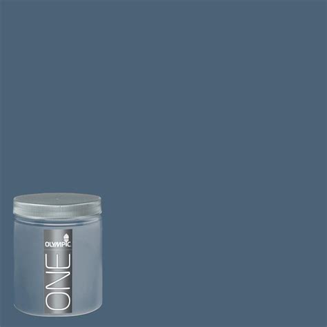 olympic blue fjord  size container  lowescom