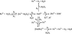 Mechanism of the Fenton reaction. | Download Scientific Diagram