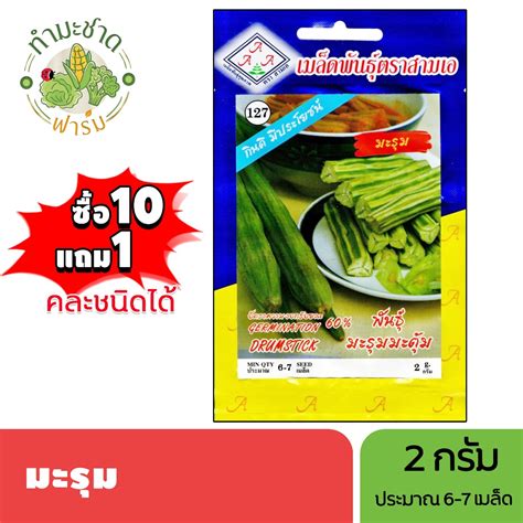 3a ซื้อ10แถม1 เมล็ดพันธุ์ มะรุม ขนาด2กรัม ประมาณ6เมล็ด Drumstick กา