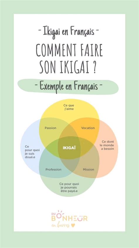 Ikigai En Fran Ais Exemple M Thode D Veloppement Personnel Livre