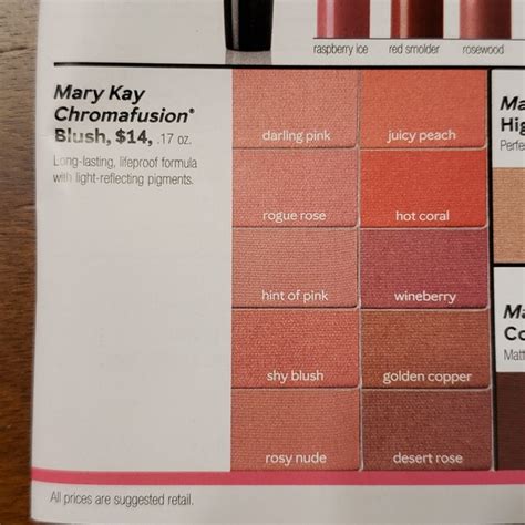Mary Kay Makeup Rosy Nude Mary Kay Chromafusion Blush Or