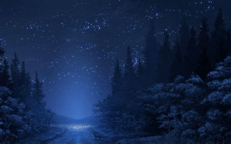 Blue Forest Night HD desktop wallpaper : Widescreen : High Definition ...