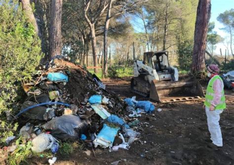 Pineta Di Castel Fusano Al Via La Bonifica Smantellati Gli