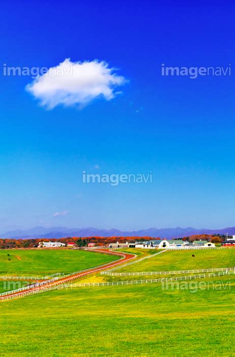 【なだらかな丘の牧場と秋の青空】の画像素材50170754 写真素材ならイメージナビ