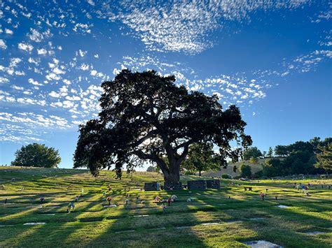 Hansen Desert Hills Mortuary: Funeral and Memorial Park Services 21