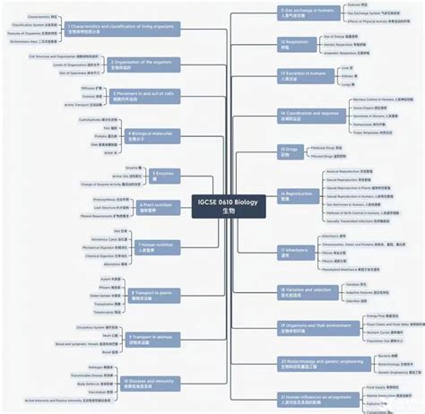 Igcse生物和国内生物有什么区别？附igcse生物培训辅导班课介绍犀牛国际教育