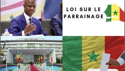 Le Logiciel Du Syst Me De Parrainage Est Un Flou Total Dixit Babacar